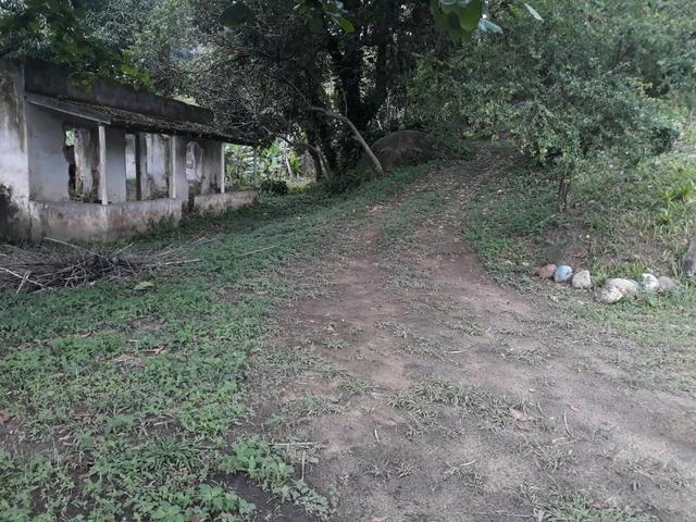 Excelente área com galpão em Guapimirim - Citrolândia oportunidade!!! - Foto 6