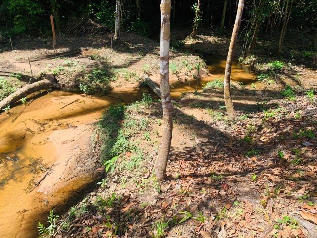 Presidente Figueiredo, lote no Cd. Bosque das aguas terreno 20x60, com registro - Foto 18