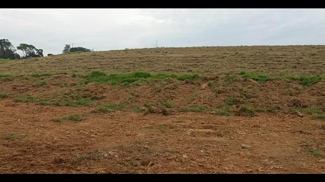 Compre Seu Terreno De 1000 Pra Chácara - Foto 6