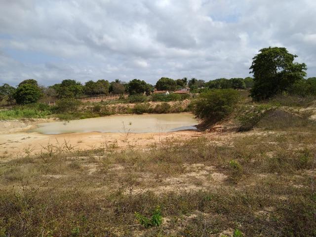 Granja com 4 há em bom jesus com 3 casas e outra em construção, piscina, galpão - Foto 3