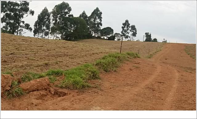 Terreno 100% planos - Foto 5