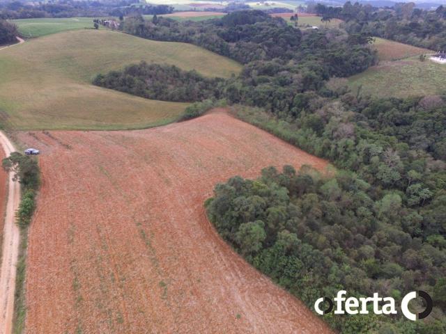Chácara à venda em Serrinha, Contenda cod:549 - Foto 20