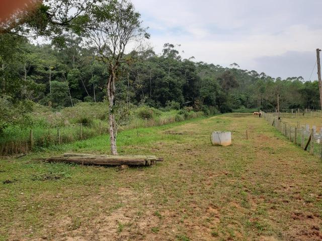 Excelente Chácara no Morro alto, com lagoa e Nascente de Água - Foto 5