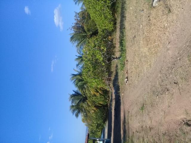 Uma chácara beira-rio 10mt quadrado - Foto 4
