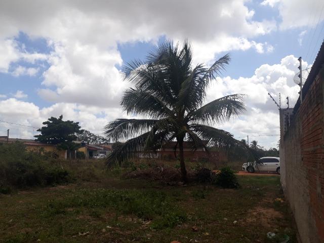 Terreno pechincha em parparnamirim - Foto 2