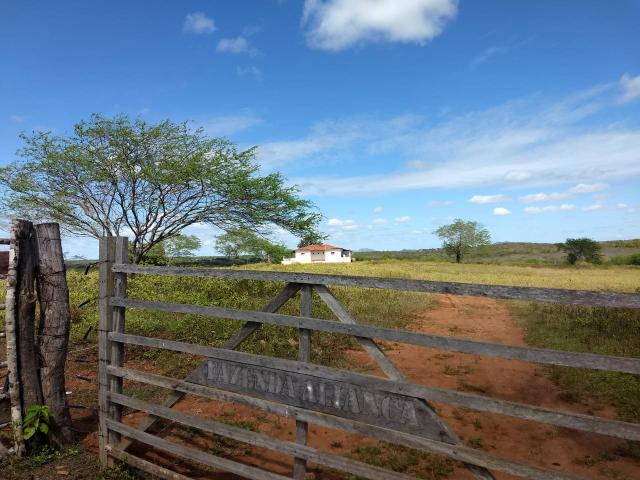 Fazenda em São Paulo do Potengi cortada pelo rio Potengi - Foto 5
