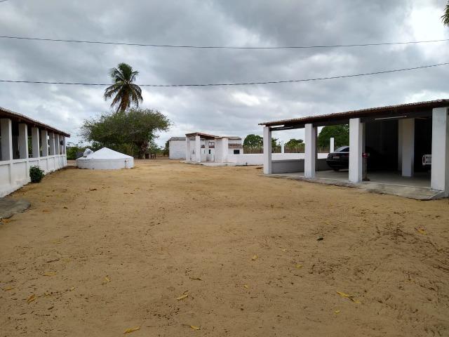 Granja com 4 há em bom jesus com 3 casas e outra em construção, piscina, galpão - Foto 4