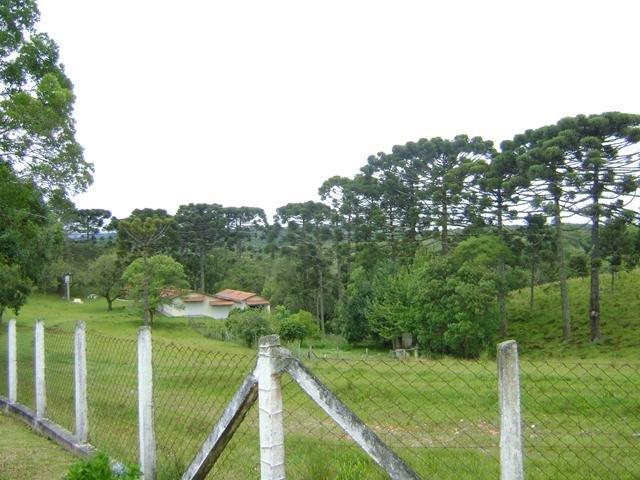 Residencial Piraquara - Chácara - Foto 18