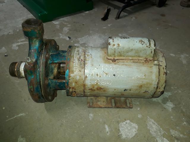 Bombas Monofásicas e Trifasicas - Foto 3