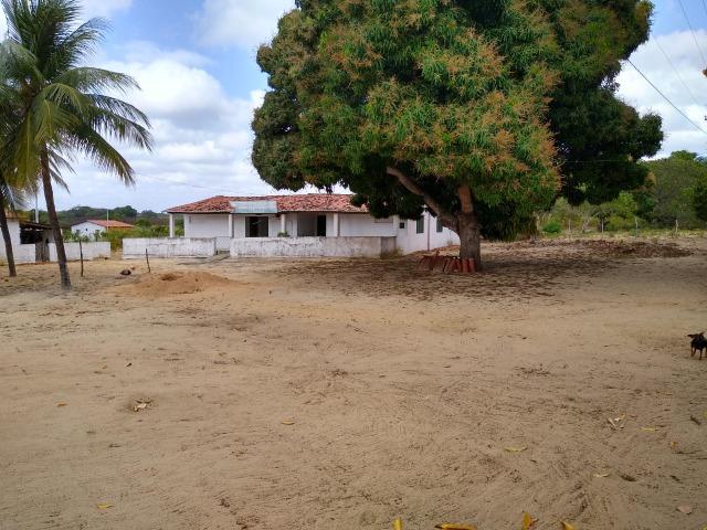 Granja com 4 há em bom jesus com 3 casas e outra em construção, piscina, galpão - Foto 8