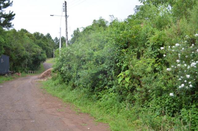 Terreno à venda, 888 m² por r$ 170.000,00 - vale dos pinheiros - gramado/rs - Foto 5