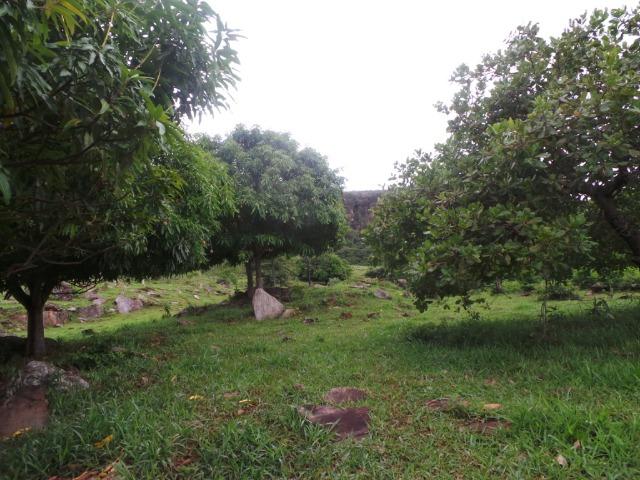 Fazenda 15 Alqueires Municipio Cocalzinho Aceita Imovel até 200 mil - Foto 15