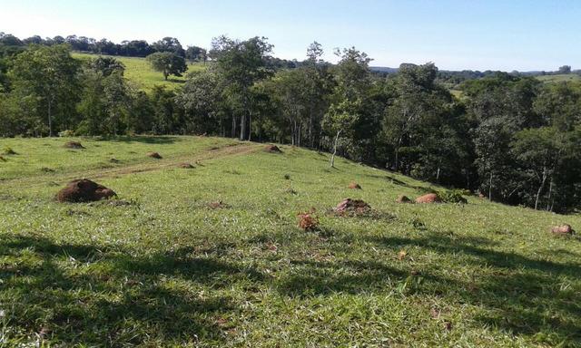 Fazenda 5.5 Alqueires Municipio de Pirinopolis Não aceita Imovel - Foto 10