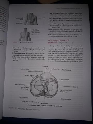 Cinesiologia Estrutural - Foto 4
