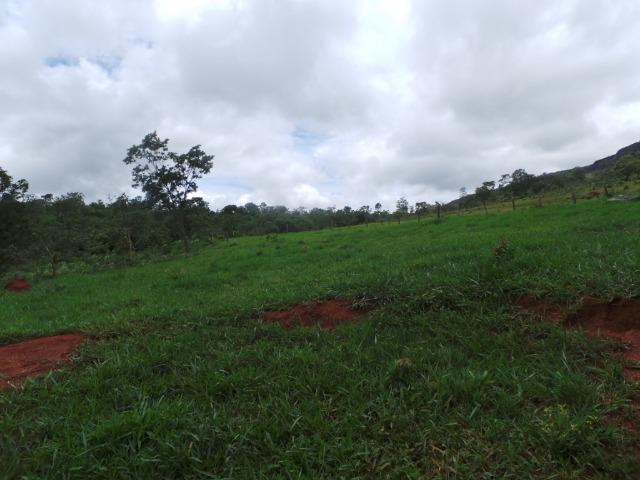 Fazenda 15 Alqueires Municipio Cocalzinho Aceita Imovel até 200 mil - Foto 3