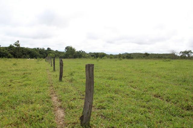 Fazenda 22 Alqueires Municpio Cocalzinho Aceita 50% em Trama em Goiania - Foto 13