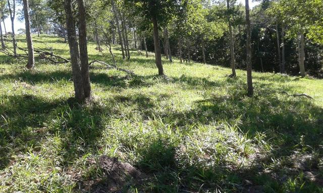 Fazenda 5.5 Alqueires Municipio de Pirinopolis Não aceita Imovel - Foto 13