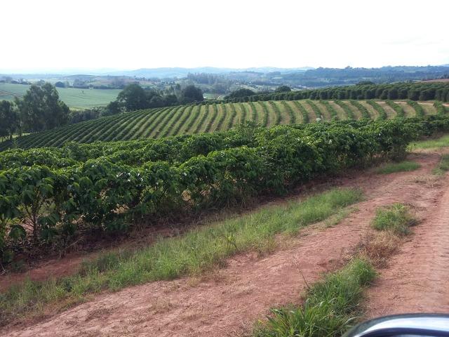 Fazenda Café Sul de Minas - Foto 7