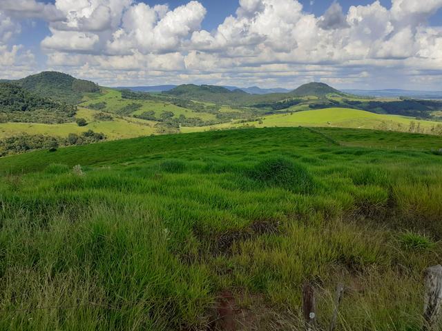 Fazenda Agricultura e Pecuária-Completa Arrendamento - Foto 7