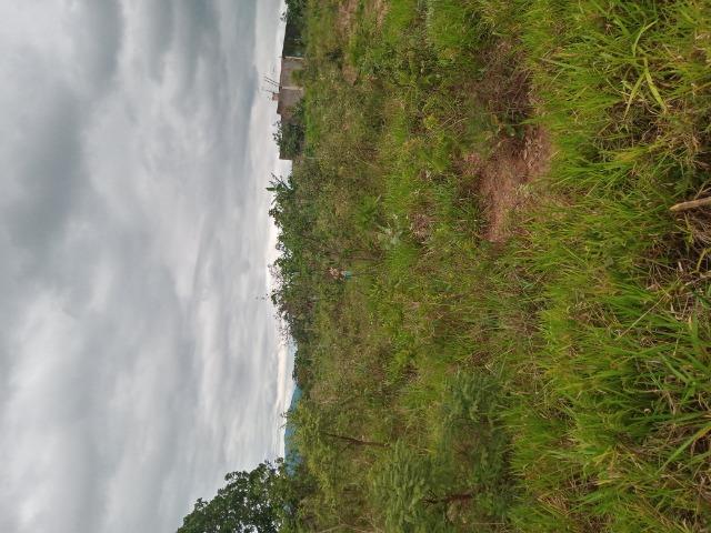 Lote 363m2 - Foto 3