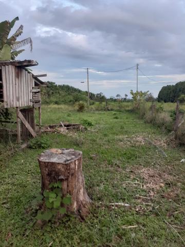Vende-se terreno em local bem valorizado e tranquilo - Foto 3