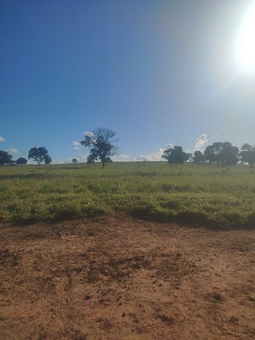 313 alqueires em caiapónia  - Foto 4