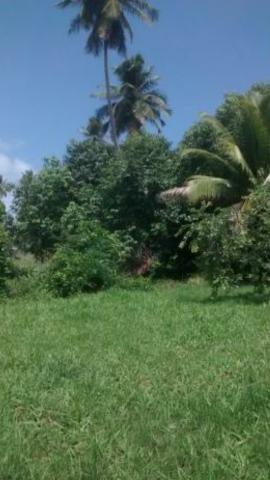 Lote em Porto de Galinhas- Perto do mar- Preço e oportunidade!! - Foto 8