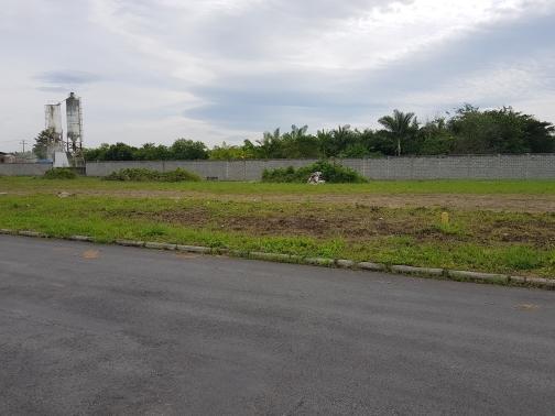 Galpão/depósito/armazém à venda em Reta, São francisco do sul cod:FT255 - Foto 4