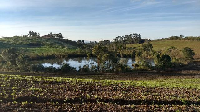 Área para soja próxima de Curitiba - Foto 17