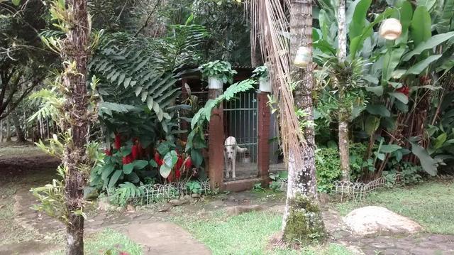 Chácara Cinematográfica Rio Sagrado - Foto 12