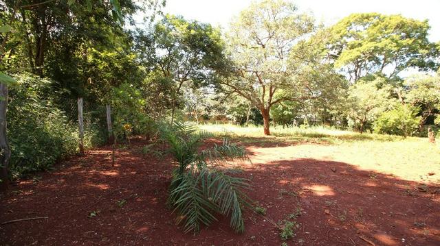 Área 3.775 m² Próximo a UFG Campus Samambaia P/ Lazer e moradia! Oportunidade - Foto 11