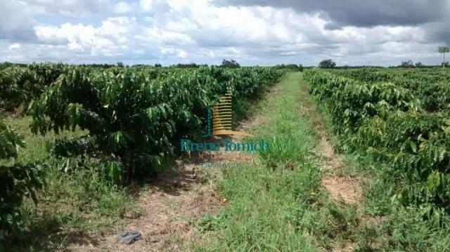 Fazenda à venda, 890000 m² por r$ 1.300.000 - teixeira do progresso - mascote/ba - Foto 14