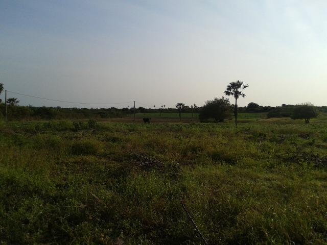 Granja com 11 há em mandú, lagoa de pedras - Foto 16