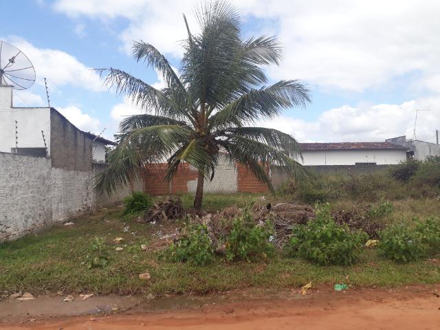 Terreno pechincha em parparnamirim - Foto 7