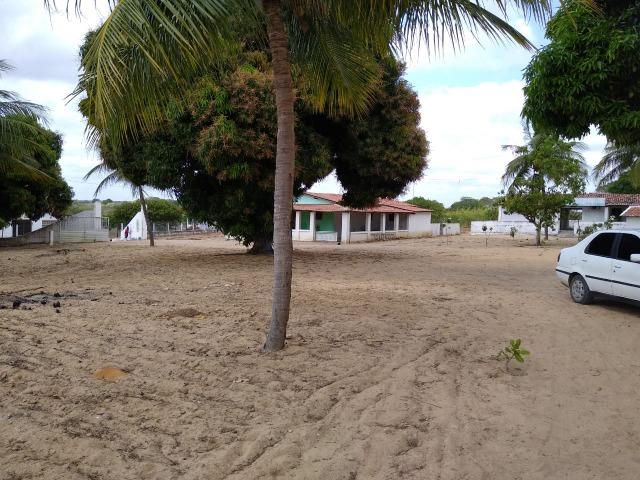 Granja com 4 há em bom jesus com 3 casas e outra em construção, piscina, galpão - Foto 10