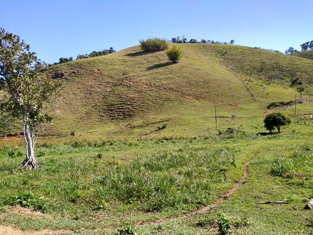 Sítio Viana 10 herquitares - Foto 10