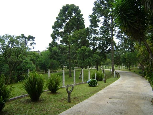 Residencial Piraquara - Chácara - Foto 19