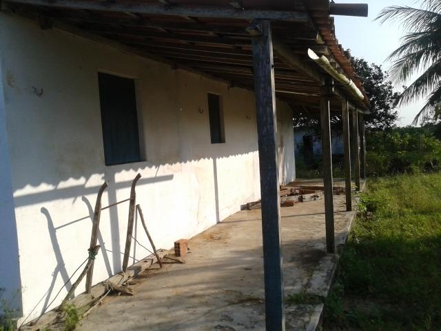 Granja com 11 há em mandú, lagoa de pedras - Foto 5