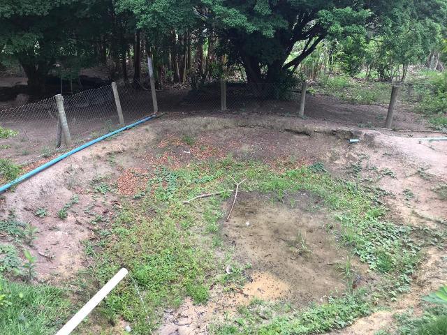 Excelente fazenda 86 ha - Foto 16