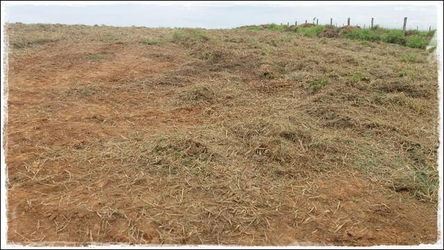Venha rapido terreno de 1000m² próximo de Cotia - Foto 6