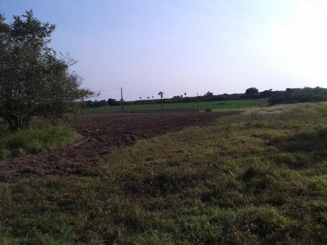 Granja com 11 há em mandú, lagoa de pedras - Foto 7