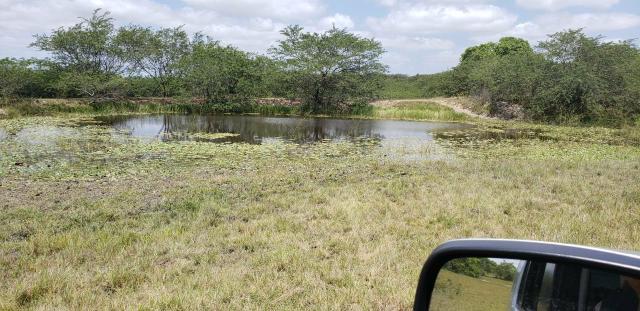 Fazenda com 80 hectares entre brejinho e santo Antônio do salto da onça - Foto 2