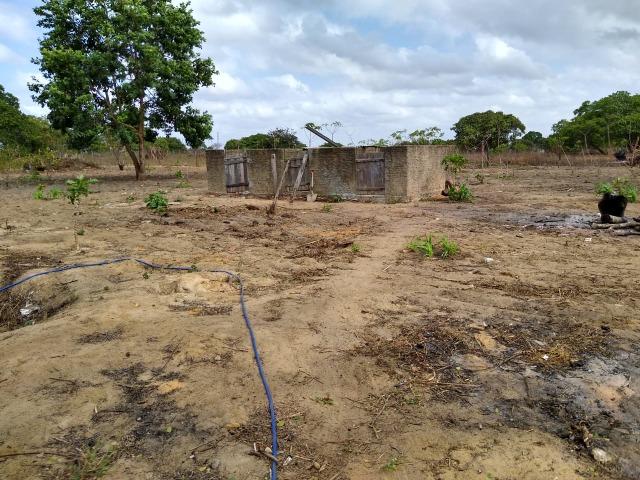 Granja com 4 há em bom jesus com 3 casas e outra em construção, piscina, galpão - Foto 14