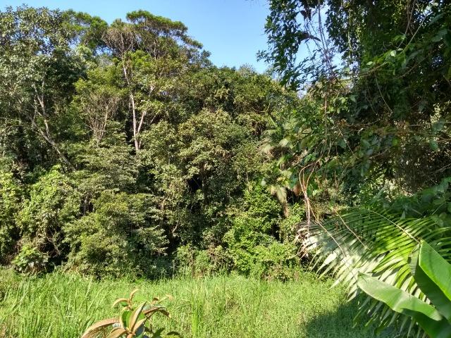 Terreno com 4000 mts para Chácara no Balneario de Piçarras S/C - Foto 9