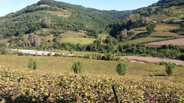 Area de terras 2,5 hectares Vale Aurora-BG