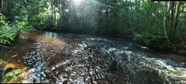 Presidente Figueiredo, lote no Cd. Bosque das aguas terreno 20x60, com registro - Foto 12