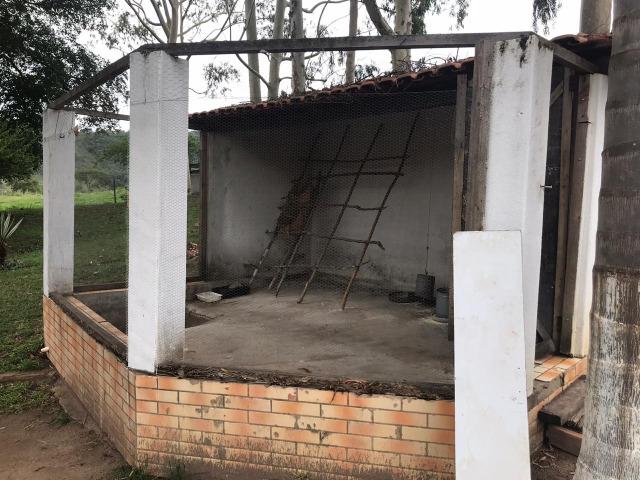 Excelente fazenda 86 ha - Foto 9