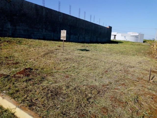 Vende terreno