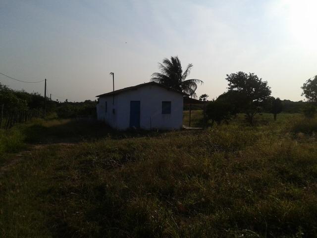 Granja com 11 há em mandú, lagoa de pedras - Foto 4