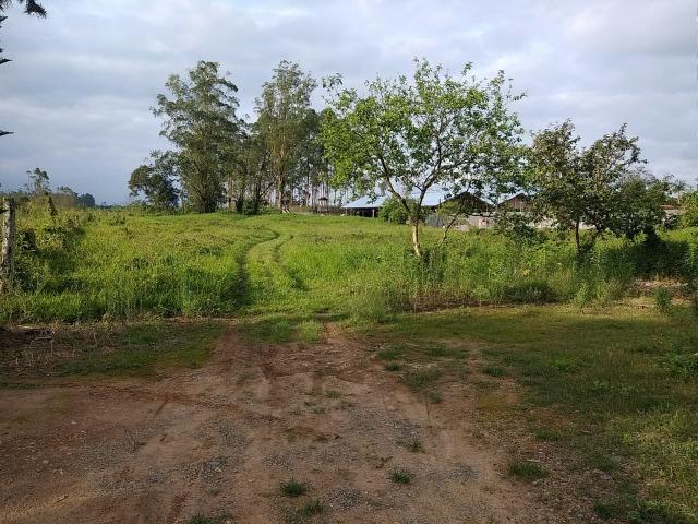 Área Rural em Joinville 105.472,71 m2 - Foto 4